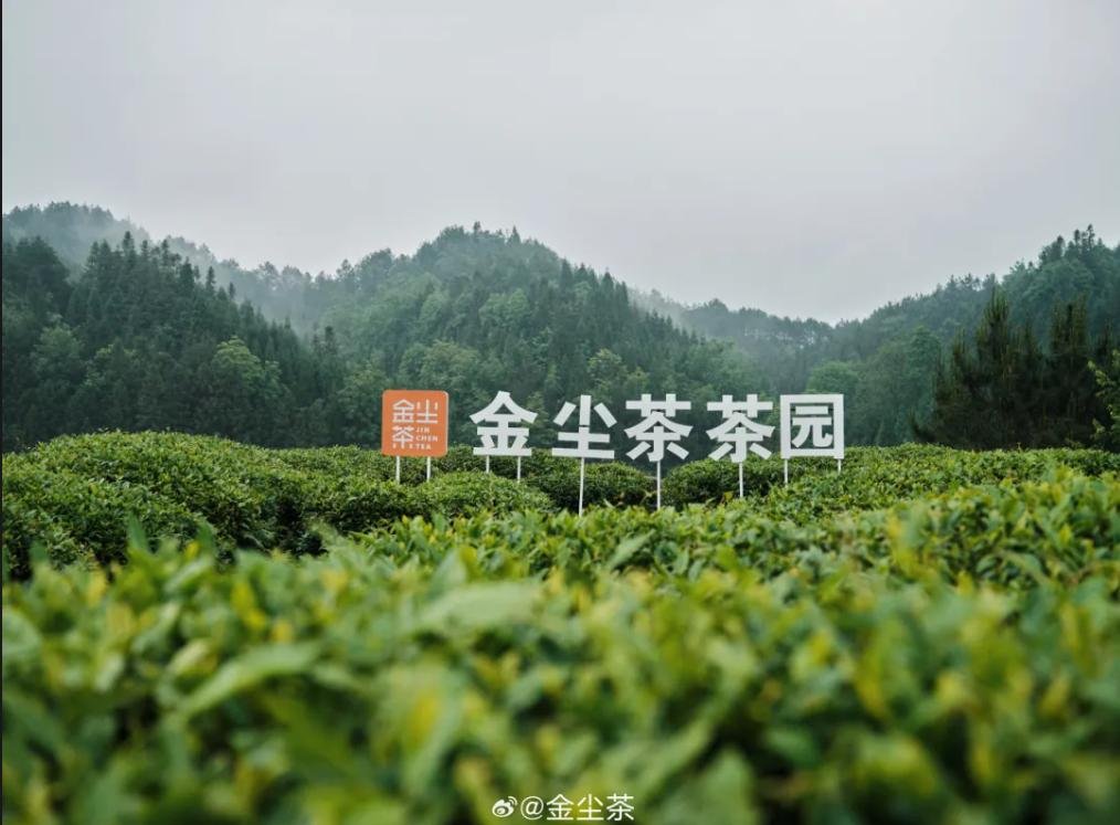 貴州金塵茶茶葉發展有限公司